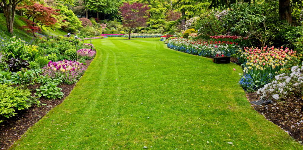 Progetto senza titolo Realizzazione aree verdi personalizzate a Roma centro